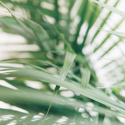Looking ahead to 2023: Ten Skincare Trends Shaping Consumer Behaviour
